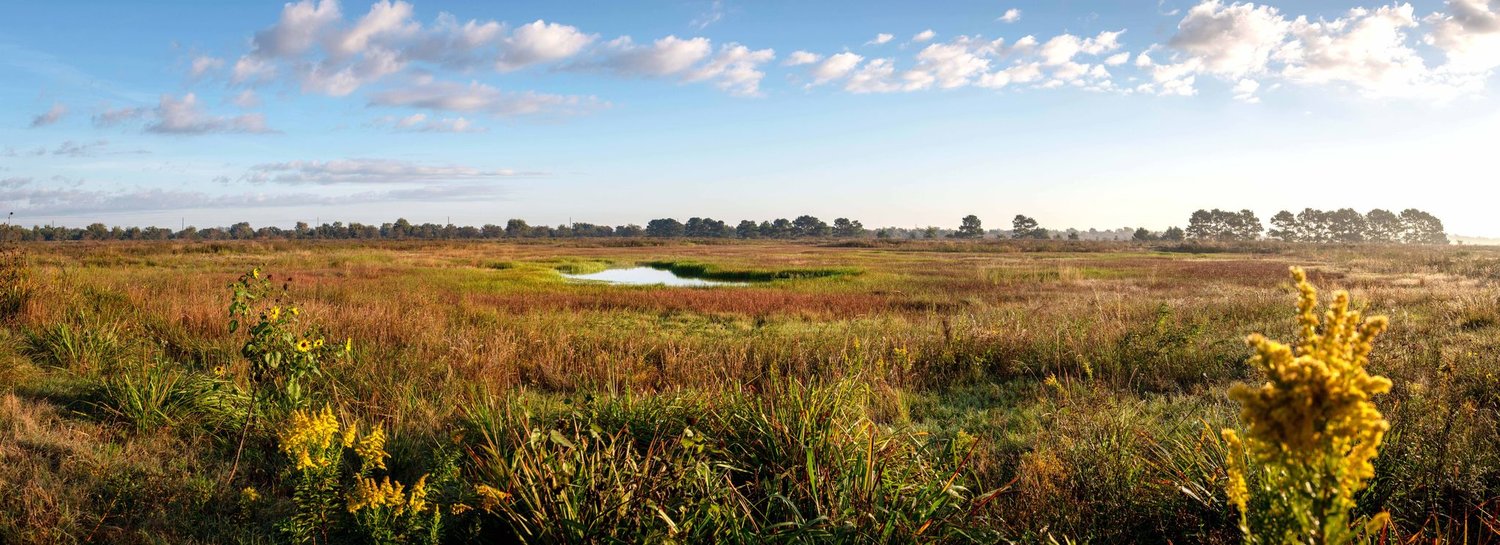 Restored wetlands on the Katy Prairie Conservancy’s Indiangrass Preserve. The conservancy works to preserve and restore wetlands north of the city of Katy to ensure that the region’s natural features are preserved for future generations to enjoy.